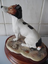 Jack Russell Terrier (Bitch)