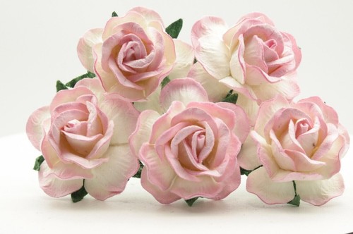 Mulberry paper roses - mulberry, flowers