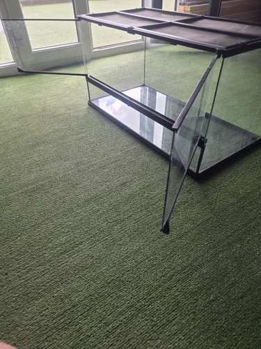 Reptile vivarium - reptile,