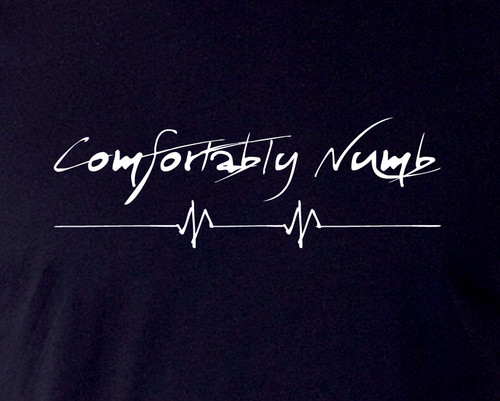 Pink floyd shirt - floyd,