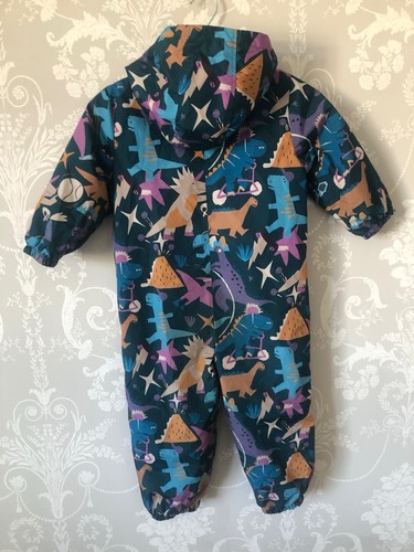 Dinosaur puddle splash - dinosaur,