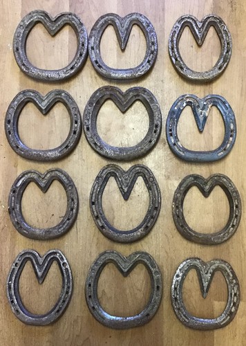 Real horseshoe heart shape - real,