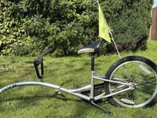 tag-a-long bike ￼