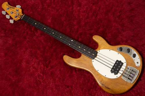 Ernie ball music man - man, stingray