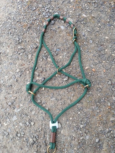 Monty roberts nice halter - roberts, be