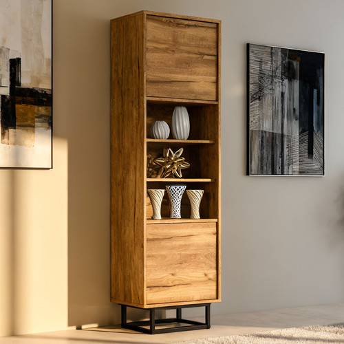 Display cabinet bookcase - cabinet,