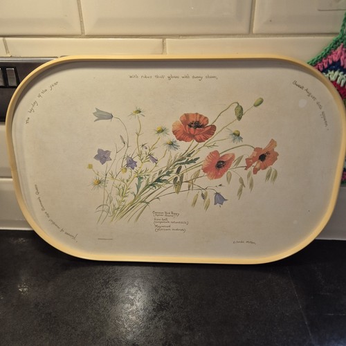 Dorma country diary poppies - country,