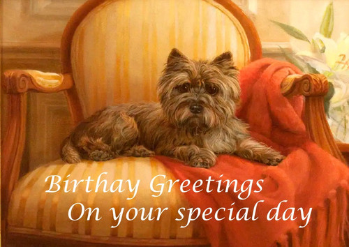 Cairn terrier dog birthday - cairn,
