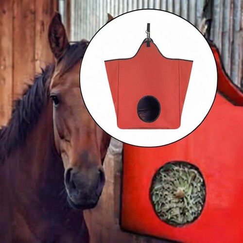 Horse feeding hay - feeding,