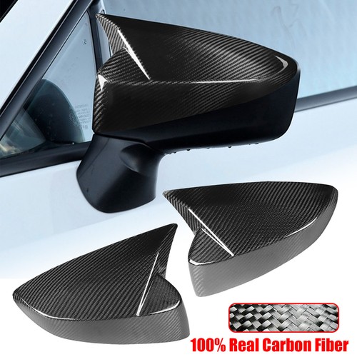 Real carbon fiber horn - fiber, ox