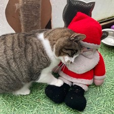 Donate Christmas dinner &