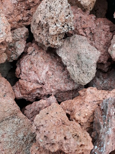 Lot red aquarium - , rocks