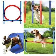 Pet Agility Set Training Dogs