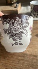 Royal Worcester Palissy Cup &