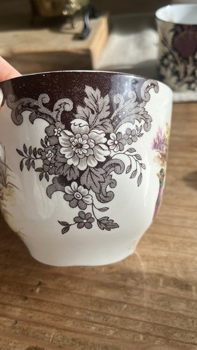 Royal worcester palissy cup - cup, &