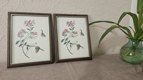 Vintage rhs butterflies - vintage,