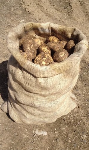 Large hessian 50cm x 80cm - 5,