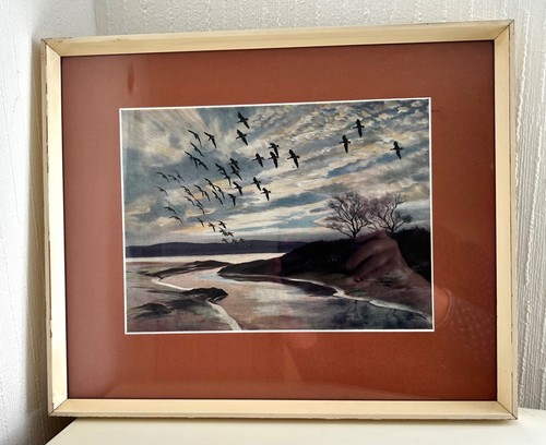 Framed vintage peter scott - framed,