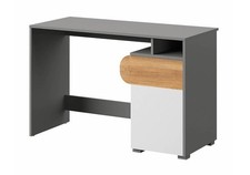 Carini Modern Computer Desk