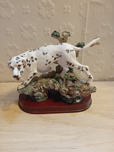 Dalmatian hunting hound - dalmatian,