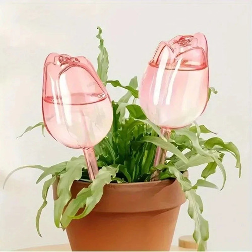 Tulip plant watering globes - plant,