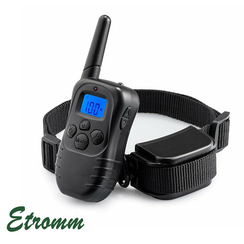 Dog shock training - dog, collar