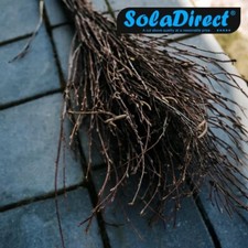 WITCHES BROOM STRAW STICK HALLOWEEN FANCY DRESS COSTUME ACCESSORY WOME NEW