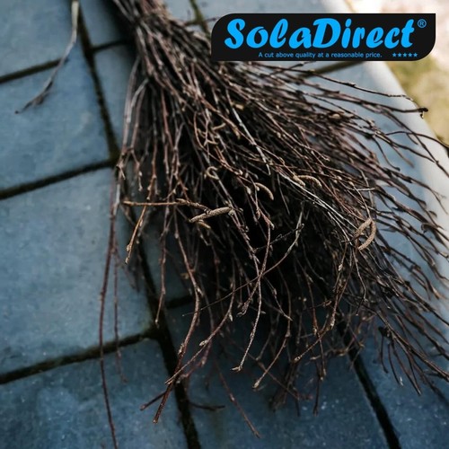 Witches broom straw - witches,