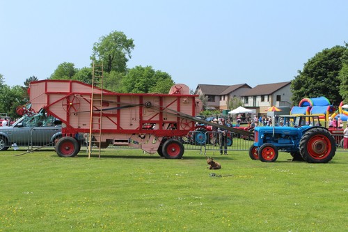 Photo 6x4 threshing mill - threshing,
