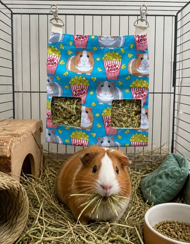 Guinea pig feeder cute - , popcorn