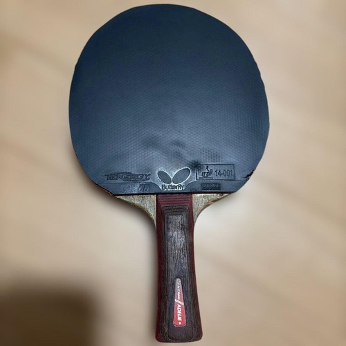 Nittaku adelie table - nittaku, tennis