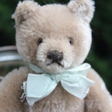 Steiff Teddy Bear 17cm  w