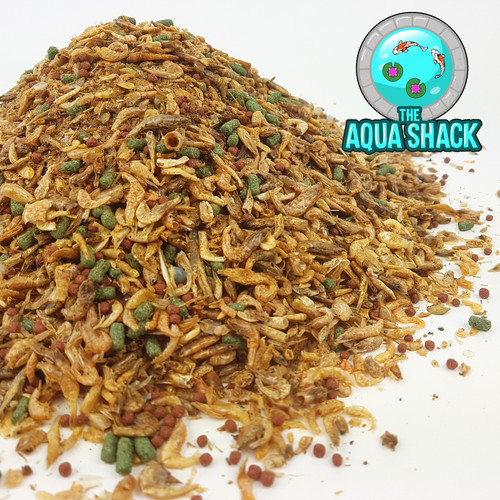 Turtle terrapin mix - mix,