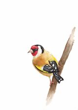 Goldfinch Original Watercolour