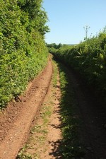 Photo 12x8 Broadley Lane #10