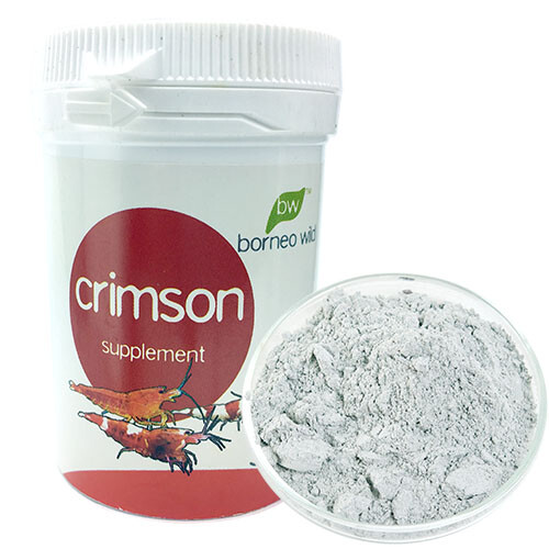 Borneo wild crimson 30g - borneo, shrimp