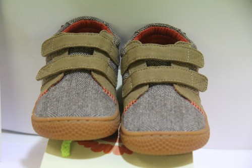 Livie luca hayes boys - *hayes*, walnut