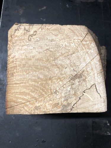 Seasoned spalted beech block - seasoned,