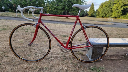 Pinarello treviso super - treviso,