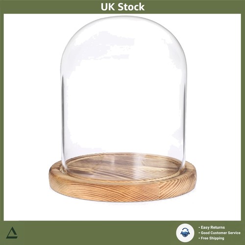 Elegant clear glass - elegant,
