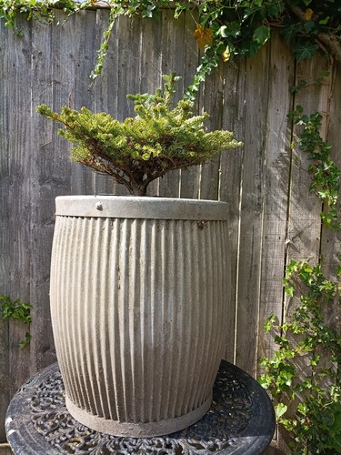 Vintage galvanised dolly - galvanised, tub