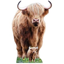 Highland Cow Coo Cardboard Cutout Lifesize Standee - Great for Scottish events