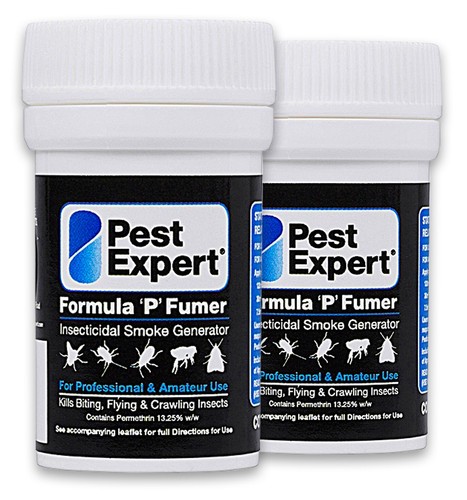 Pest expert spider killer - pest,