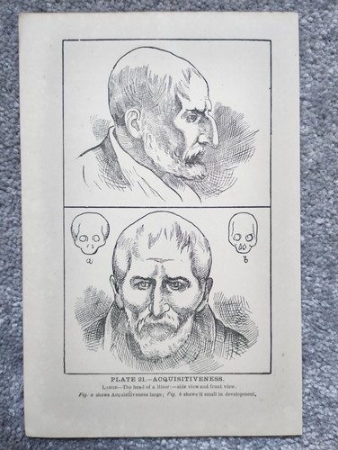 Acquisitiveness phrenology - acquisitiveness,