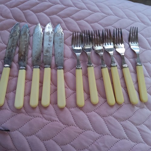 Set six faux bone handled - set, of