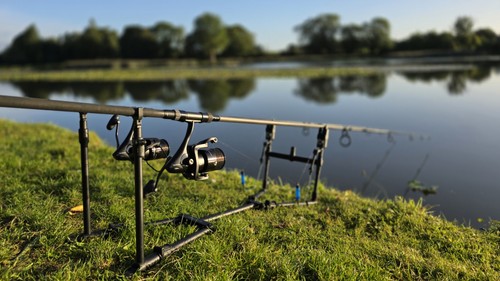 Prologic spider pod rod - spider, carp