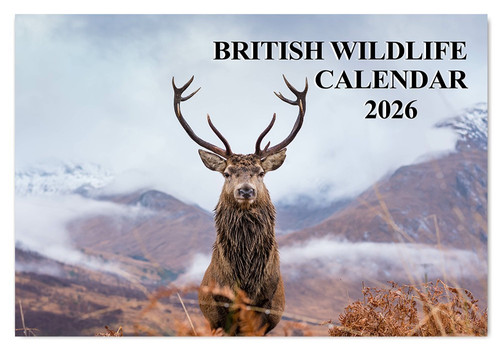 2026 british wildlife - 2026,