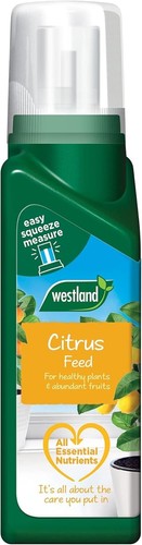 Westland citrus tree feed - tree,