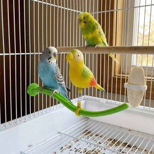 Bird perch stand swing - bird,
