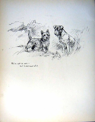 Old vintage print c1933 - old, dogs